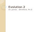 Evolution 2 Dr. James. Whitfield, Ph.D. Hardy-Weinberg Equilibrium Five Factors are known to effect HWE, these include.