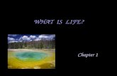 Chapter 1 WHAT IS LIFE?. All living things exhibit five characteristics in combination.