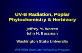 UV-B Radiation, Poplar Phytochemistry & Herbivory Jeffrey M. Warren John H. Bassman Washington State University EPA STAR Graduate Fellowship Program.