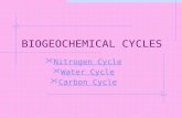 BIOGEOCHEMICAL CYCLES Nitrogen Cycle Water Cycle Carbon Cycle.