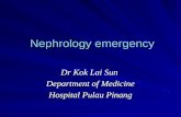 Nephrology emergency Nephrology emergency Dr Kok Lai Sun Department of Medicine Hospital Pulau Pinang.
