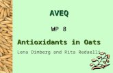 AVEQ WP 8 Antioxidants in Oats Lena Dimberg and Rita Redaelli.