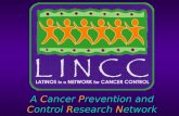 A Cancer Prevention and Control Research Network.