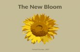The New Bloom Folwell Dunbar, 2007. Knowledge Comprehension Application Analysis Synthesis Evaluation BLOOM 1956.