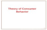 5-1 Theory of Consumer Behavior McGraw-Hill/Irwin Copyright © 2011 by the McGraw-Hill Companies, Inc. All rights reserved.