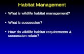 Habitat Management What is wildlife habitat management? What is succession? How do wildlife habitat requirements & succession relate?
