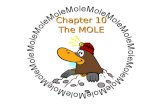 Chapter 10 The MOLE. Describing Chemical Equations Balanced chemical equations give us a ratio of particles Balanced chemical equations give us a ratio.