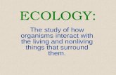 ECOLOGY: The study of how organisms interact with the living and nonliving things that surround them.