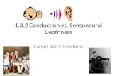 1.3.2 Conduction vs. Sensoneural Deafnness Causes and Corrections.