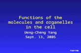 TIGP/YMU Functions of the molecules and organelles in the cell Ueng-Cheng Yang Sept. 13, 2005.