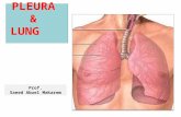 PLEURA & LUNG Prof. Saeed Abuel Makarem. Objectives By the end of the lecture, you should be able to: Describe the anatomy of the pleura: subdivisions.