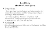 LeafWeb (leafweb.ornl.gov) Objectives - Provide plant physiologists and photosynthesis researchers a reliable tool for analyzing leaf gas exchange measurements.
