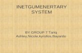 INETGUMENERTARY SYSTEM BY GROUP 7 Tariq Ashley,Nicole,kyrollos,Bayardo.