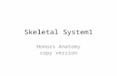 Skeletal System1 Honors Anatomy copy version. a combination of CT, epithelial & nervous tissues 18% of weight of human body Skeletal System includes bones.
