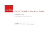 (Java) CA Client Libraries Status Matej Šekoranja matej.sekoranja@cosylab.com.
