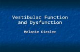 Vestibular Function and Dysfunction Melanie Giesler.