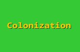 Colonization. What does religious toleration mean? Accepting of someone else’s religionAccepting of someone else’s religion.