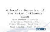 Molecular Dynamics of the Avian Influenza Virus Team Members: Ashvin Srivatsa, Michael Fu, Ellen Chuang, Ravi Sheth Team Leader: Yuan Zhang.