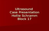 Ultrasound Case Presentation Hollie Schramm Block 17.