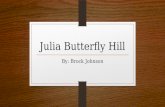 Julia Butterfly Hill By: Brock Johnson. About Julia Butterfly Hill Born February 18, 1974-Present, in Mount Vernon, Missouri, United States. Occupation: