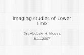 Imaging studies of Lower limb Dr. Abubakr H. Mossa 8.11.2007.