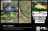 Dry Creek Fish Habitat Enhancement Feasibility Study Current Conditions Summary.