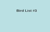 Bird List #3. American Kestral Common Grackle American Bittern.
