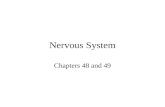Nervous System Chapters 48 and 49. Nervous System Diversity Cnidarians – (hydra, sea stars), have nerve nets that control the gastrovascular cavity Cephalization.