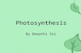 Photosynthesis By Deepthi Sri. Overview All energy on earth comes from the sun. We depend on: –Plants –Algae (underwater plants) –Cyanobacteria (photosynthetic.