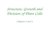 Structure, Growth and Division of Plant Cells Chapters 3 and 4.