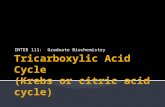 INTER 111: Graduate Biochemistry.  To discuss the function of the citric acid cycle in intermediary metabolism, where it occurs in the cell, and how.