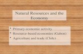 Natural Resources and the Economy Primary economic activity Resource-based economies (Gabon) Agriculture and trade (Chile)