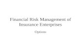 Financial Risk Management of Insurance Enterprises Options.