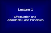 Lecture 1 Effectuation and Affordable Loss Principles.