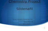 Chemistry Project Sildenafil Group members: Cheng Siu Ting Tsang Ming Lap Wong Wai Ki.