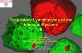 Regulatory Lymphocytes of the Immune System. II Dr. C. Piccirillo Canada Research Chair Department of Microbiology & Immunology McGill University MIMM-414A.