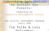 1 Harvesting Information to Sustain our Forests: Creating an Adaptive Management Portal NSF DIGITAL GOVERNMENT PROGRAM August 2000 Tim Tolle & Lois Delcambre.