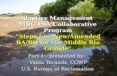 Adaptive Management MRG ESA Collaborative Program “Steps to a New/Amended BA/BO for the Middle Rio Grande” Part 1 - presented by: Valda Terauds, CGWP Valda.