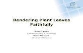 Rendering Plant Leaves Faithfully Oliver Franzke (Dresden University of Technology) Oliver Deussen (University of Konstanz)