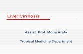 Liver Cirrhosis Assist. Prof. Mona Arafa Tropical Medicine Department.