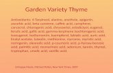 Garden Variety Thyme Antioxidants: 4-Terpineol, alanine, anethole, apigenin, ascorbic acid, beta carotene, caffeic acid, camphene, carvacrol, chlorogenic.
