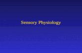 Sensory Physiology. Concepts To Understand Receptor Potential Amplitude Coding Frequency Coding Activation/Inactivation Neural Adaptation Synaptic Depression.