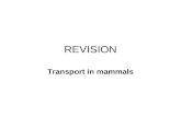 REVISION Transport in mammals. TRANSPORT IN MAMMALS.