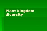 Plant kingdom diversity. Plant groups  Bryophytes (seedless, non-vascular)  Seedless vascular plants  Gymnosperms  Angiosperms.