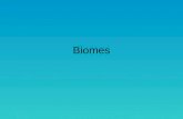 Biomes. Community characterized by dominant vegetation and prevailing climate –Climate=avg. temp. and avg. precipitation –General trend: as altitude and.