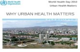 WHY URBAN HEALTH MATTERS World Health Day 2010 Urban Health Matters.