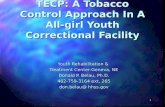 1 TECP: A Tobacco Control Approach In A All-girl Youth Correctional Facility Youth Rehabilitation & Treatment Center-Geneva, NE Donald P. Belau, Ph.D.