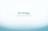 Ecology Chapters 34, 35, and 36. Ch 34: The Biosphere Ecology is the study of the interactions of organisms with their environment.