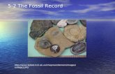 5-2 The Fossil Record .