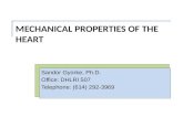 MECHANICAL PROPERTIES OF THE HEART Sandor Gyorke, Ph.D. Office: DHLRI 507 Telephone: (614) 292-3969.